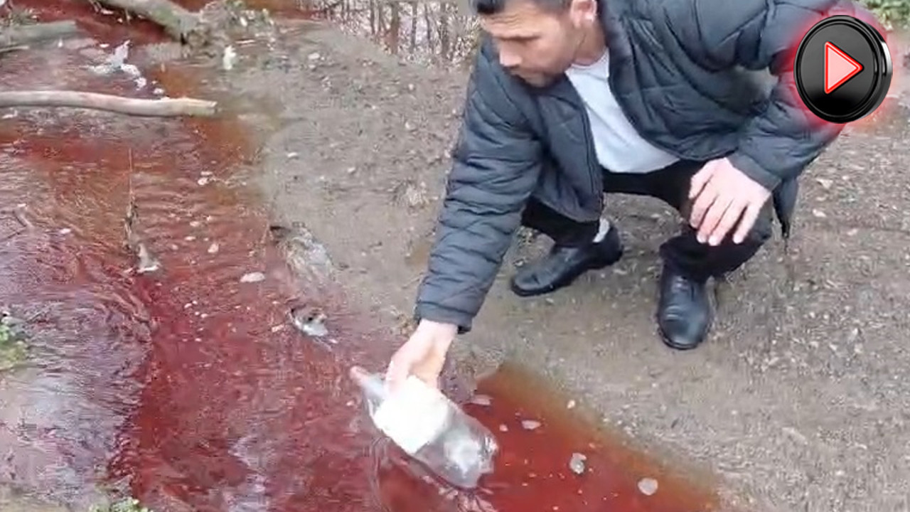 İstanbul'da korkutan görüntü: Ömerli'ye akan dere köpürdü ve kızardı