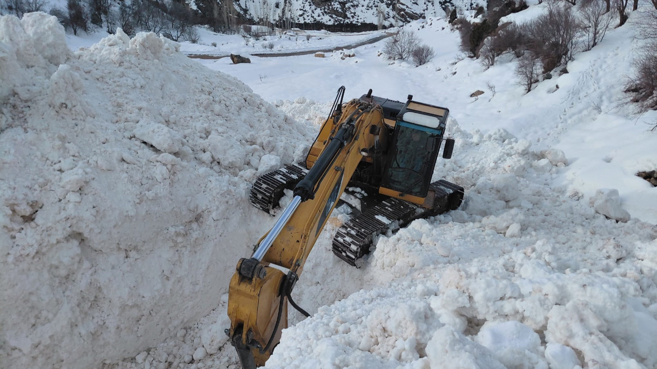 Van'da çığın kapattığı mezra yolunda zorlu mücadele