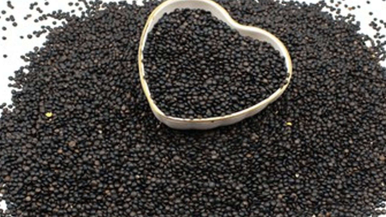 2026’nın bağırsak dostu süper gıdası: Siyah altın olarak biliniyor