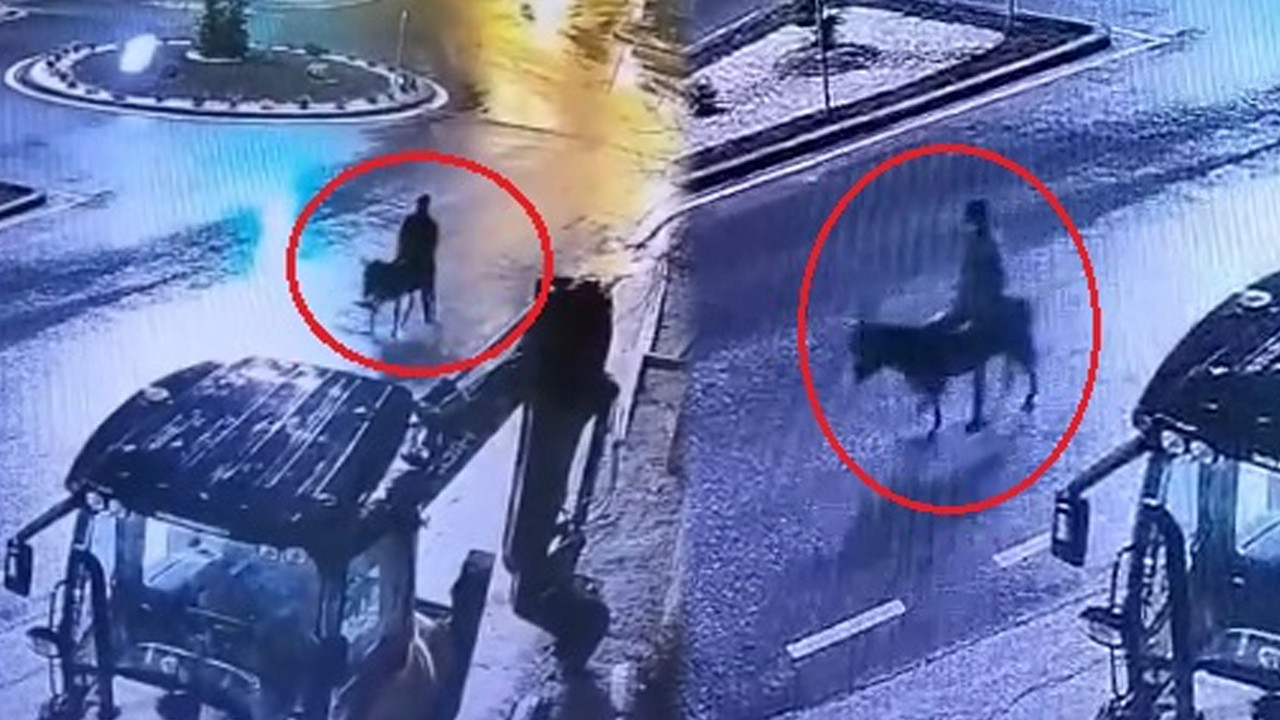 Eşek sırtında kaçış planı tutmadı: Kayseri’ni en ilginç hırsızlığı