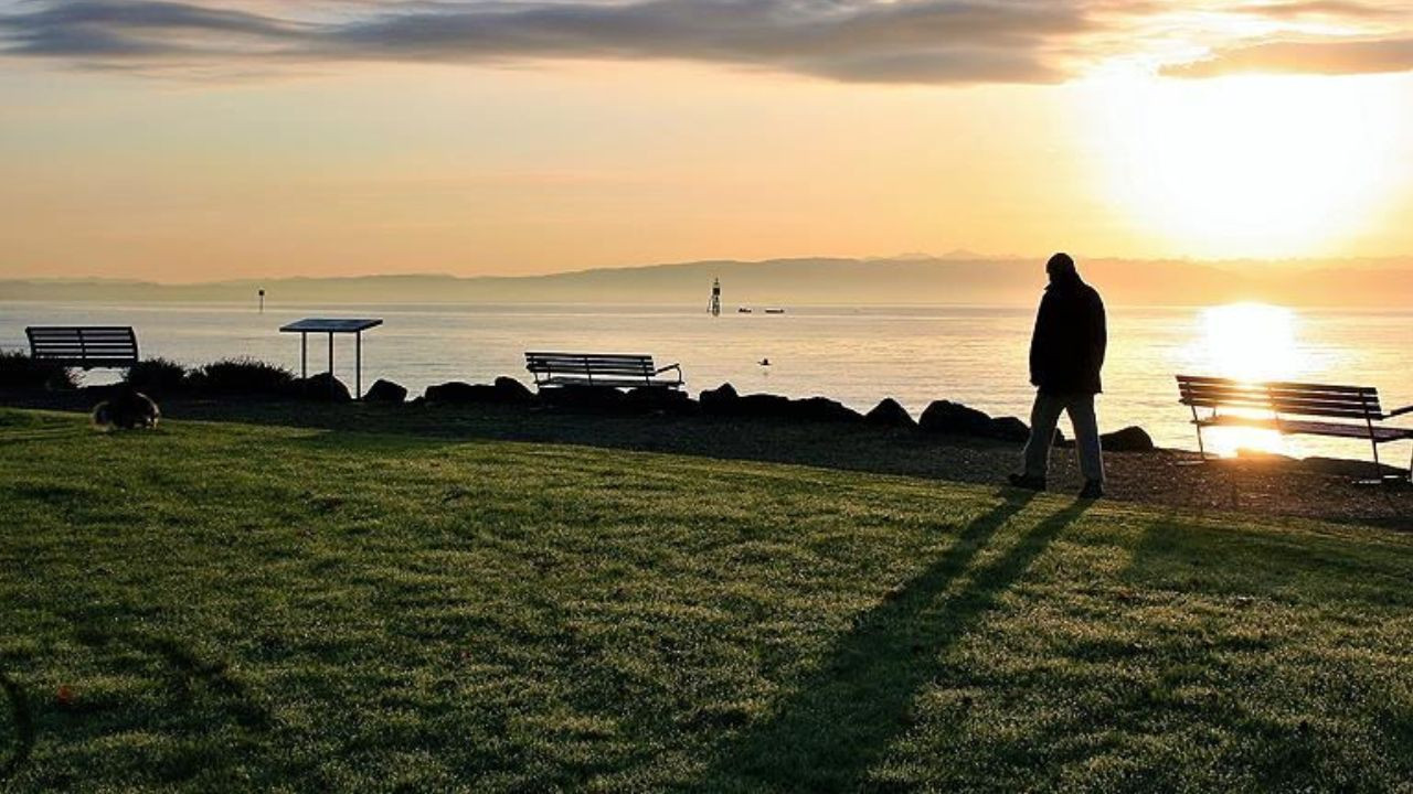 Türkiye'de yalnız yaşayan sayısında büyük artış