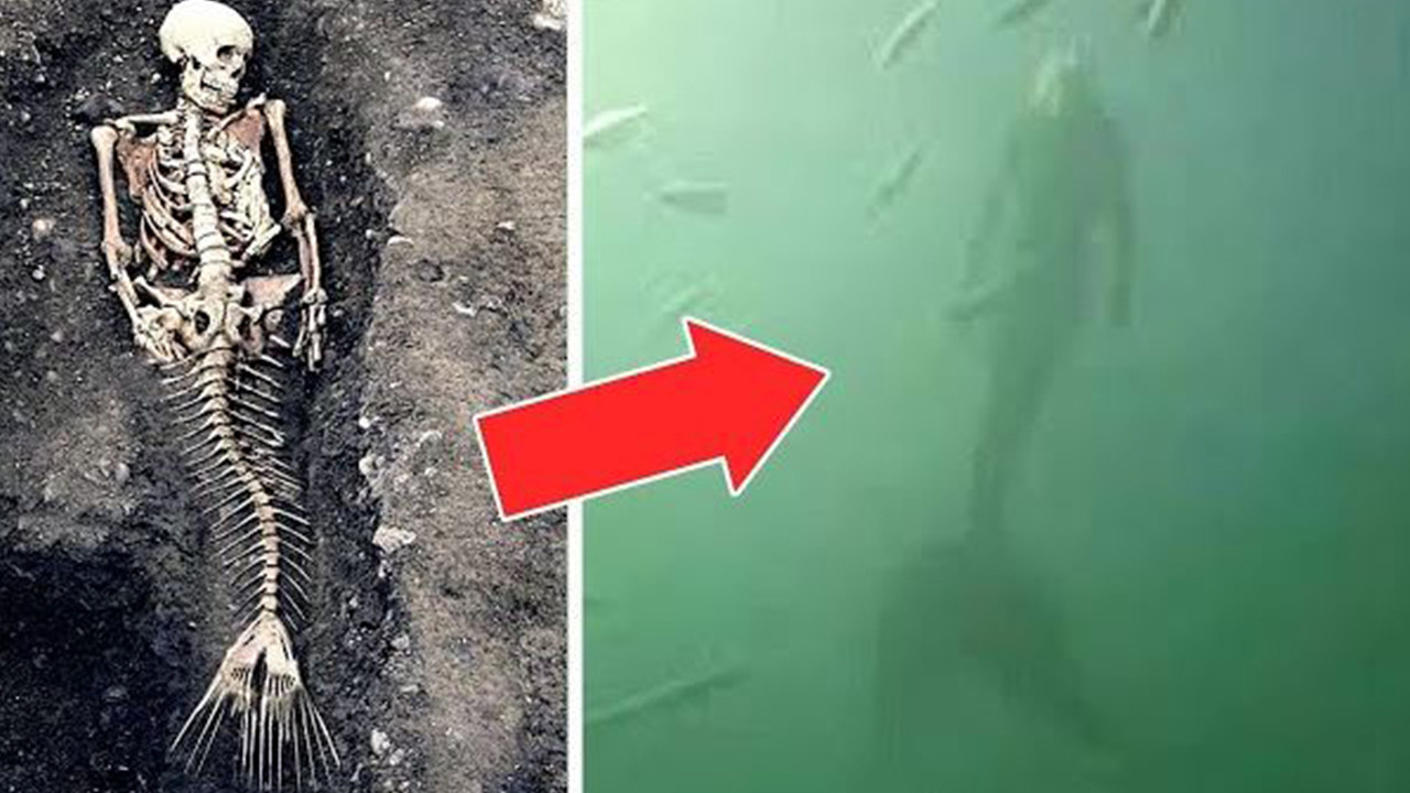 Deniz kızları gerçek mi efsane mi? Bilim ne diyor?