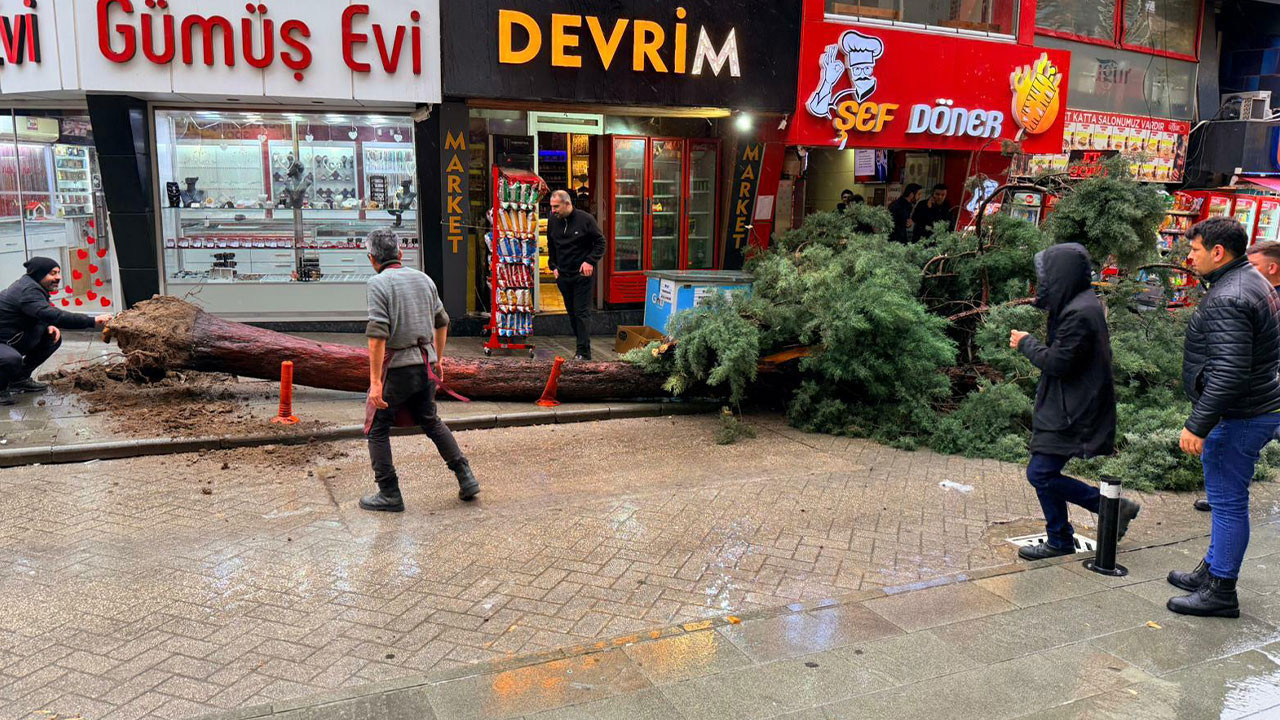 Isparta'da fırtına hayatı olumsuz etkiledi: Ağaçlar devrildi