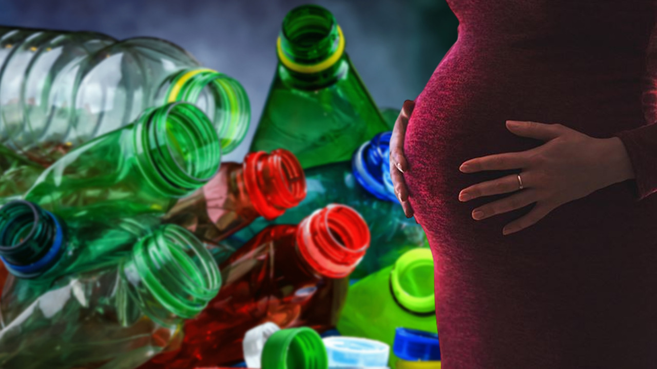 Plastik artık anne karnında: Sağlığımızı iki kat yok edecek