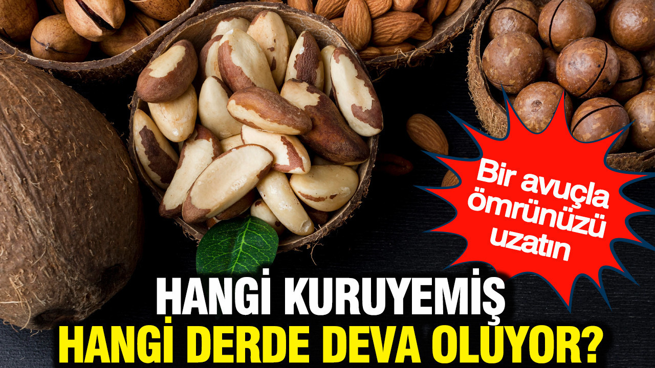 Hangi kuruyemiş hangi derde deva oluyor? Bir avuçla ömrünüzü uzatın