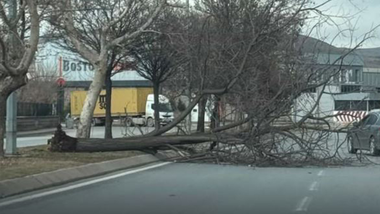 Kayseri’de fırtına alarmı: Ağaç kökünden koptu refüje devrildi