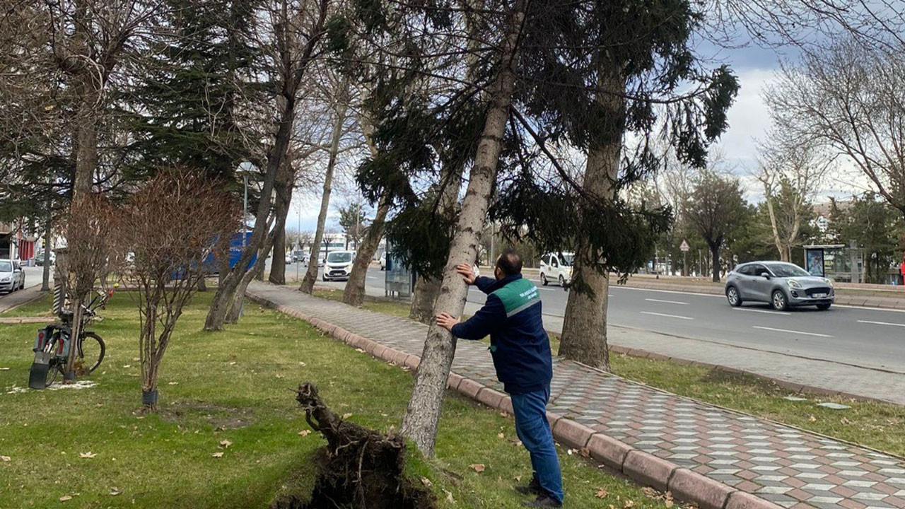 Kayseri'de rüzgardan devrilen ağaçlar temizleniyor
