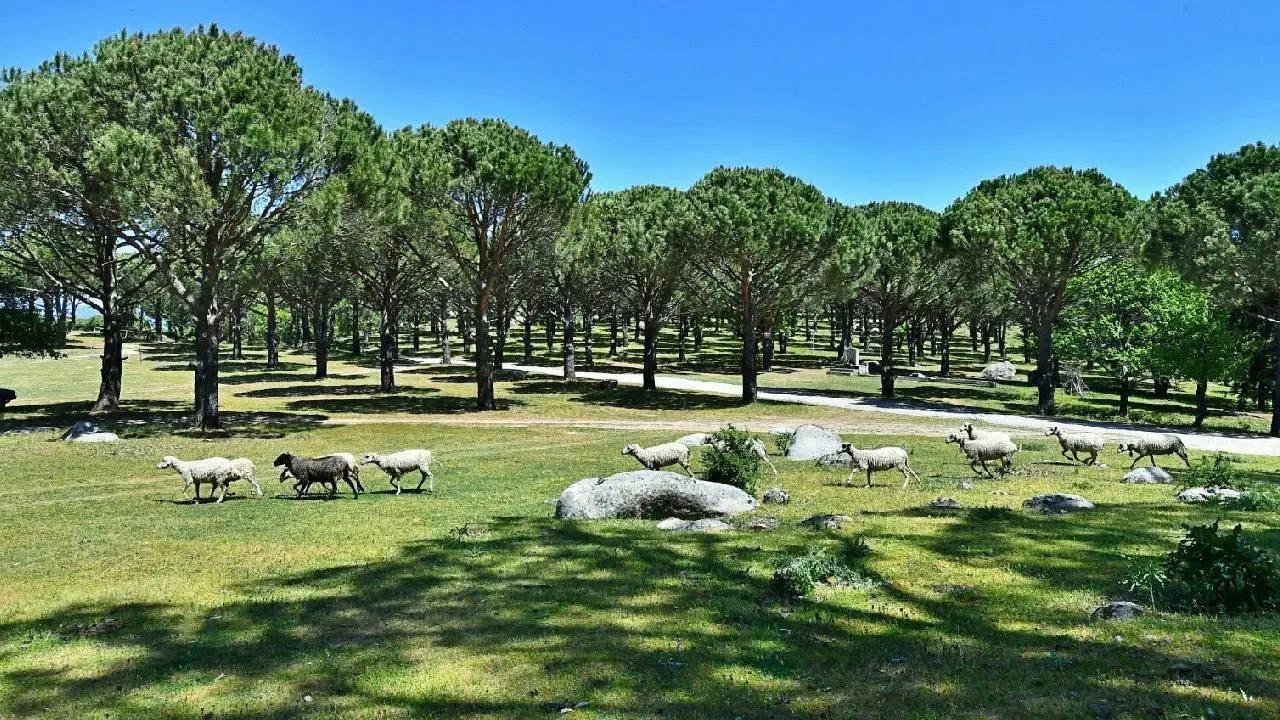 UNESCO adayı alana granit ocağı izni: İzmir Büyükşehir Belediyesi yargıya gitti
