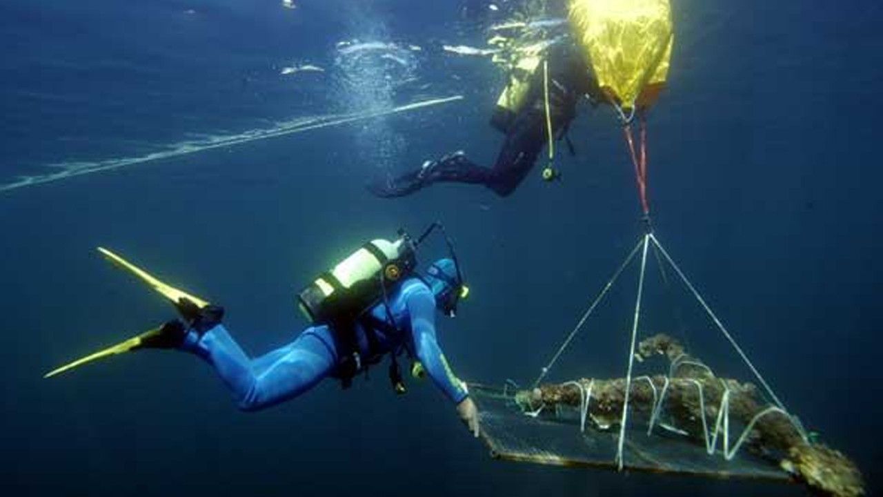 2025 yılında dünyayı hayrete düşüren heyecan verici 4 arkeolojik keşif