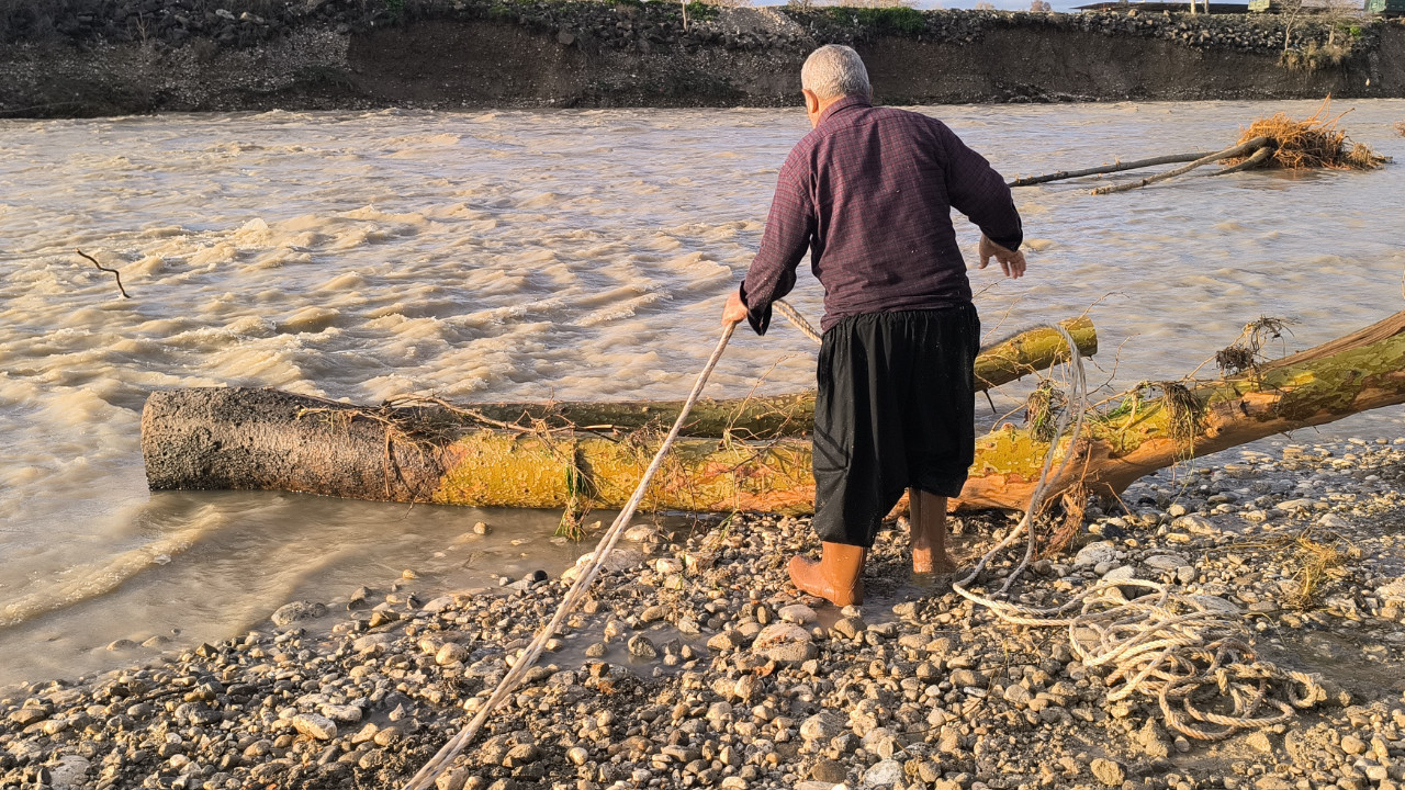 Canlarını hiçe sayıp sel sularından odun topladılar