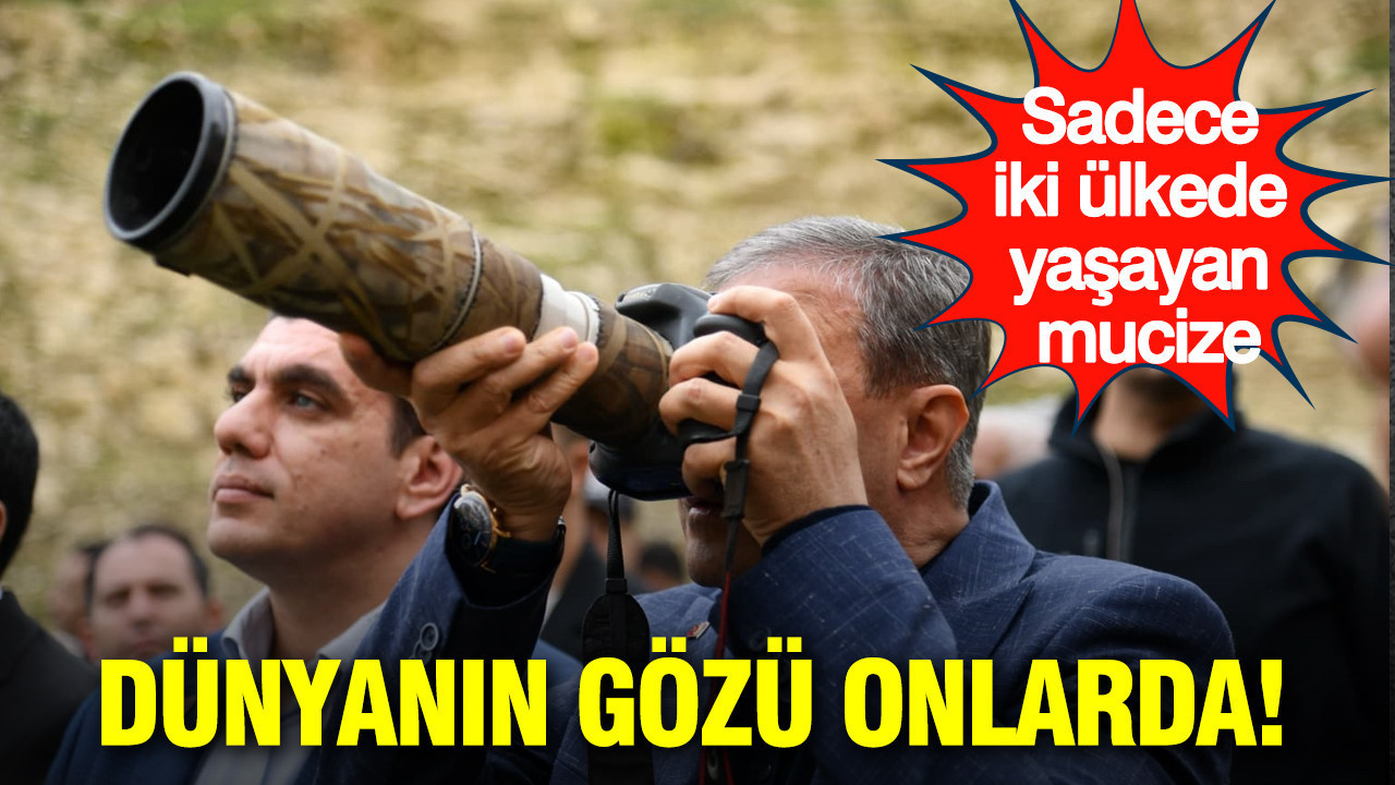 Dünyanın gözü onlarda: Sadece iki ülkede yaşayan mucize: Fırat’ın misafirleri