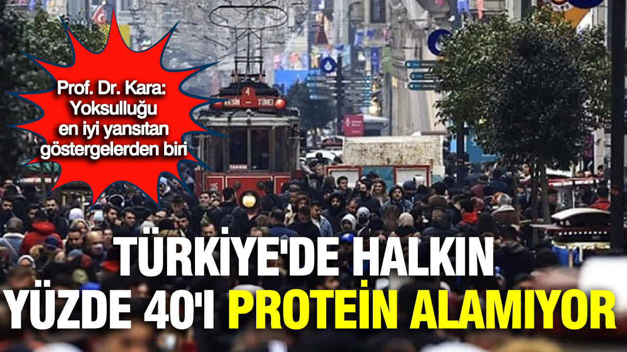 Prof. Dr. Kara: Türkiye'de halkın yüzde 40'ı protein alamıyor