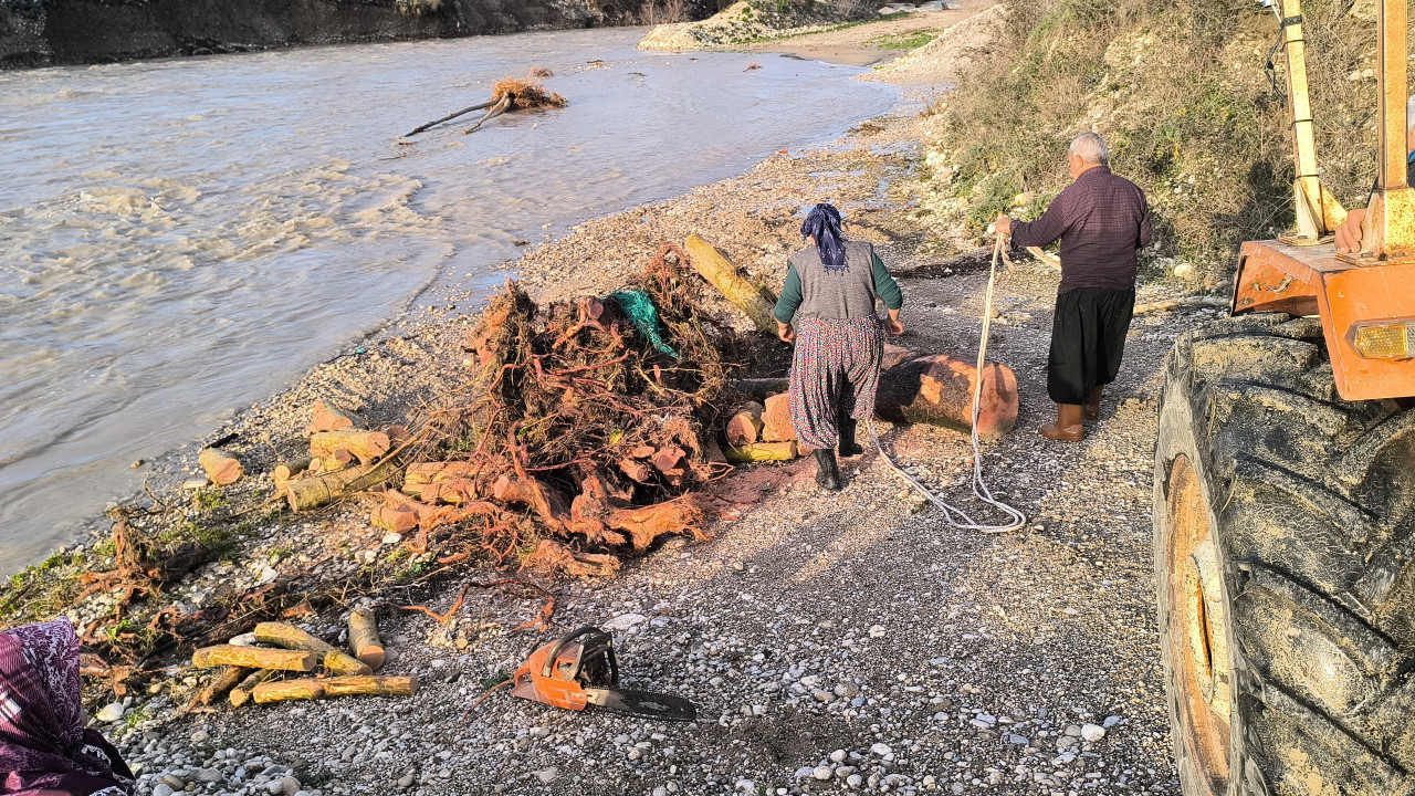 Selin sürüklediği ağaçları topluyorlar: Odun fiyatları pahalı