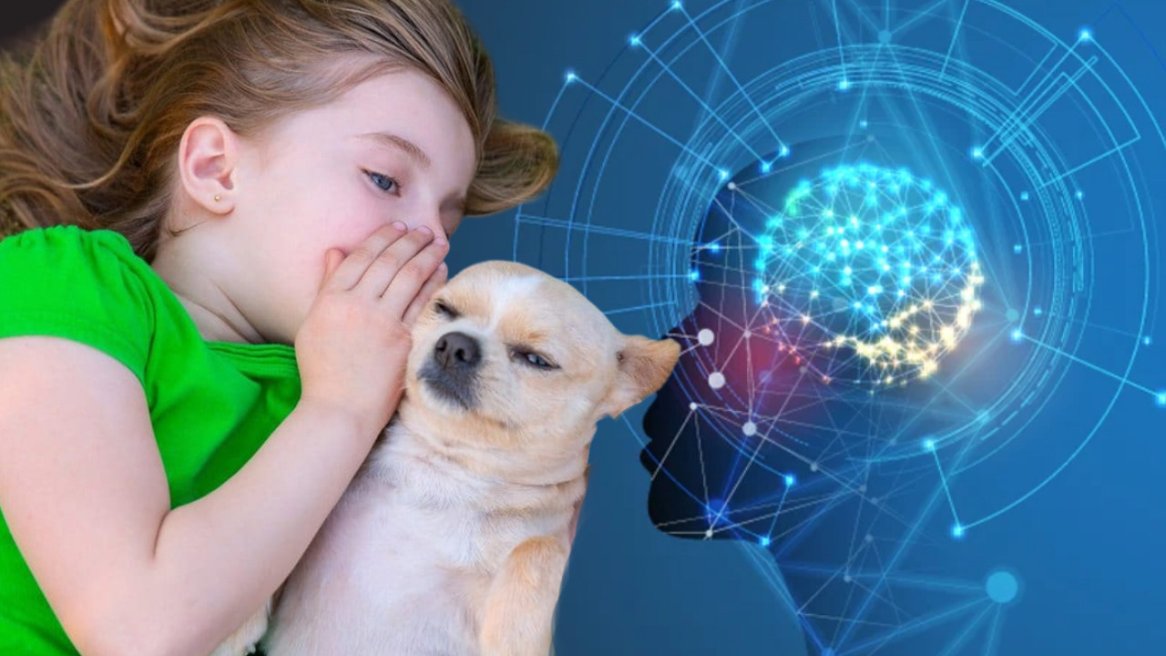 Hayvanlarla konuşmanın yolu açıldı: Yapay zekâ destekli proje: Earth Species Project