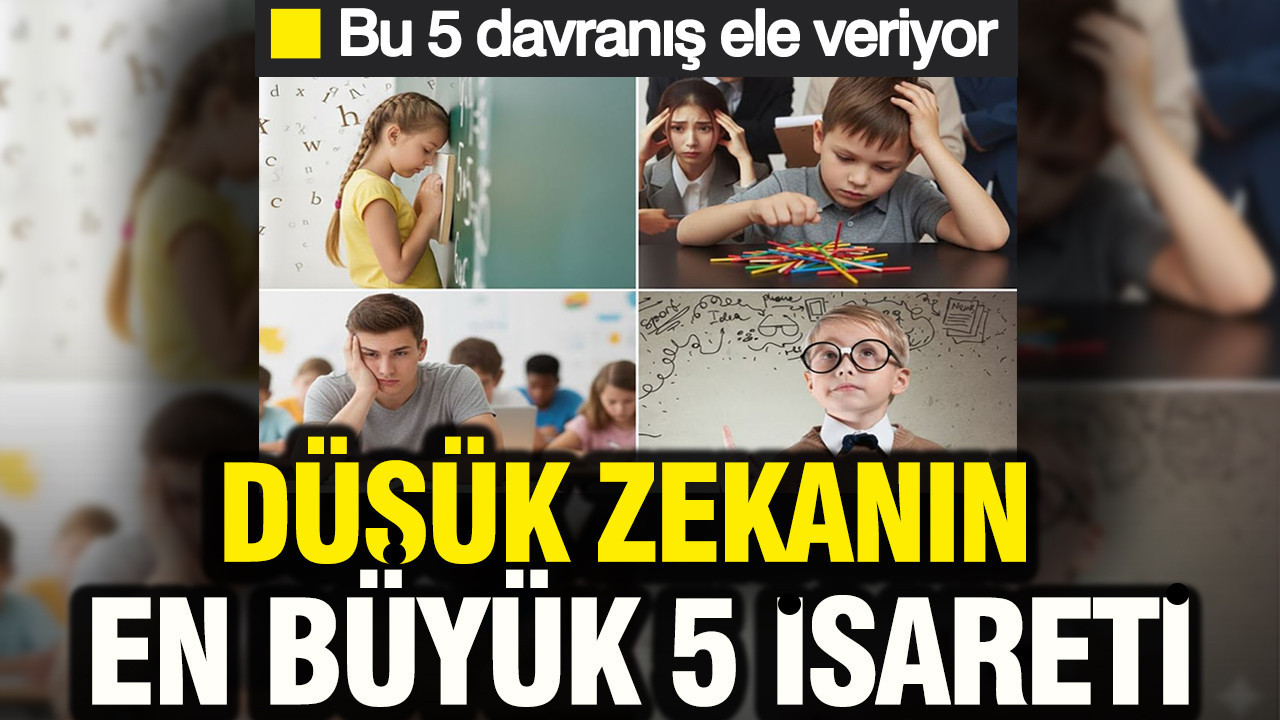 Düşük zekanın en büyük 5 işareti: Bu 5 davranış ele veriyor