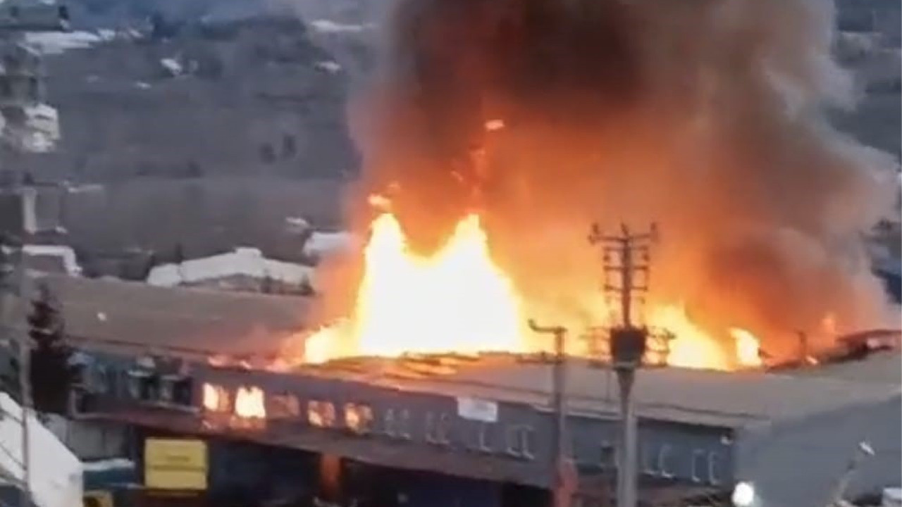 Ordu'da korkutan yangın kontrol altında