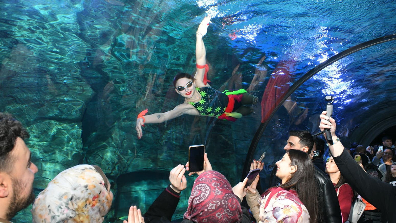 Tünel Akvaryum’da Su Balesi Gösterisi, 14 Şubat Sevgililer Günü’ne heyecan kattı