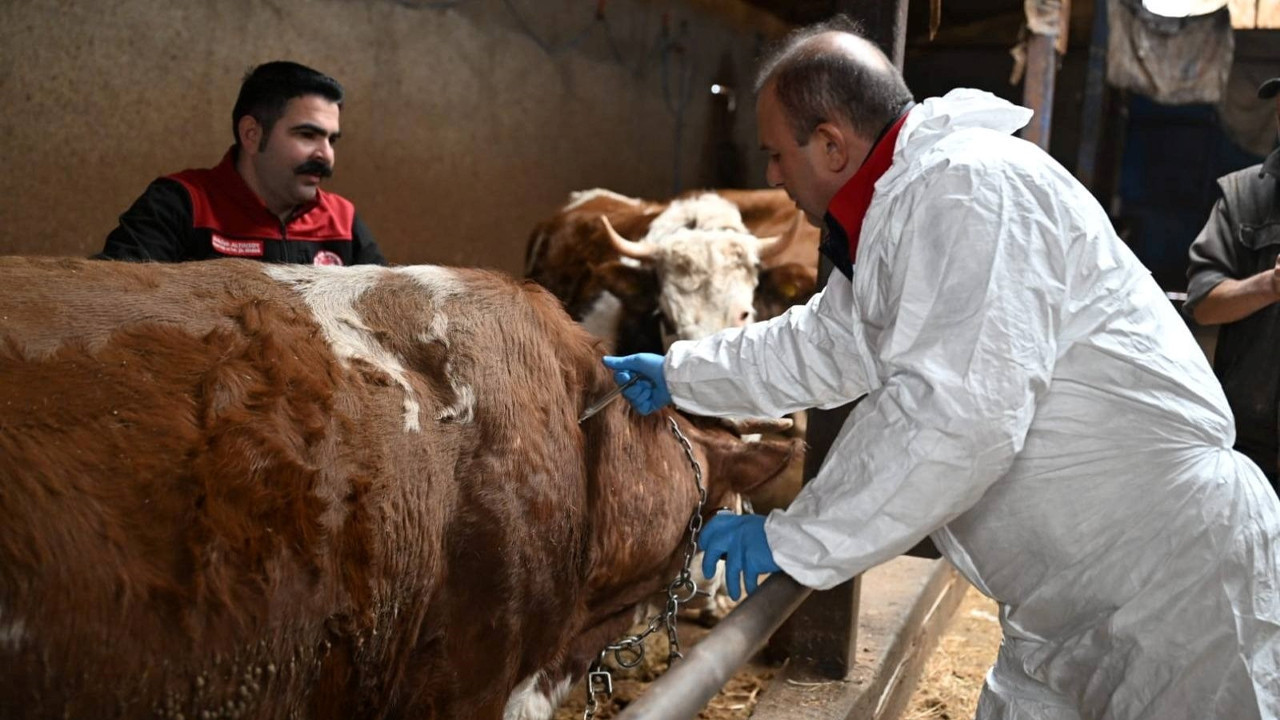 Aşılama seferberliği başladı