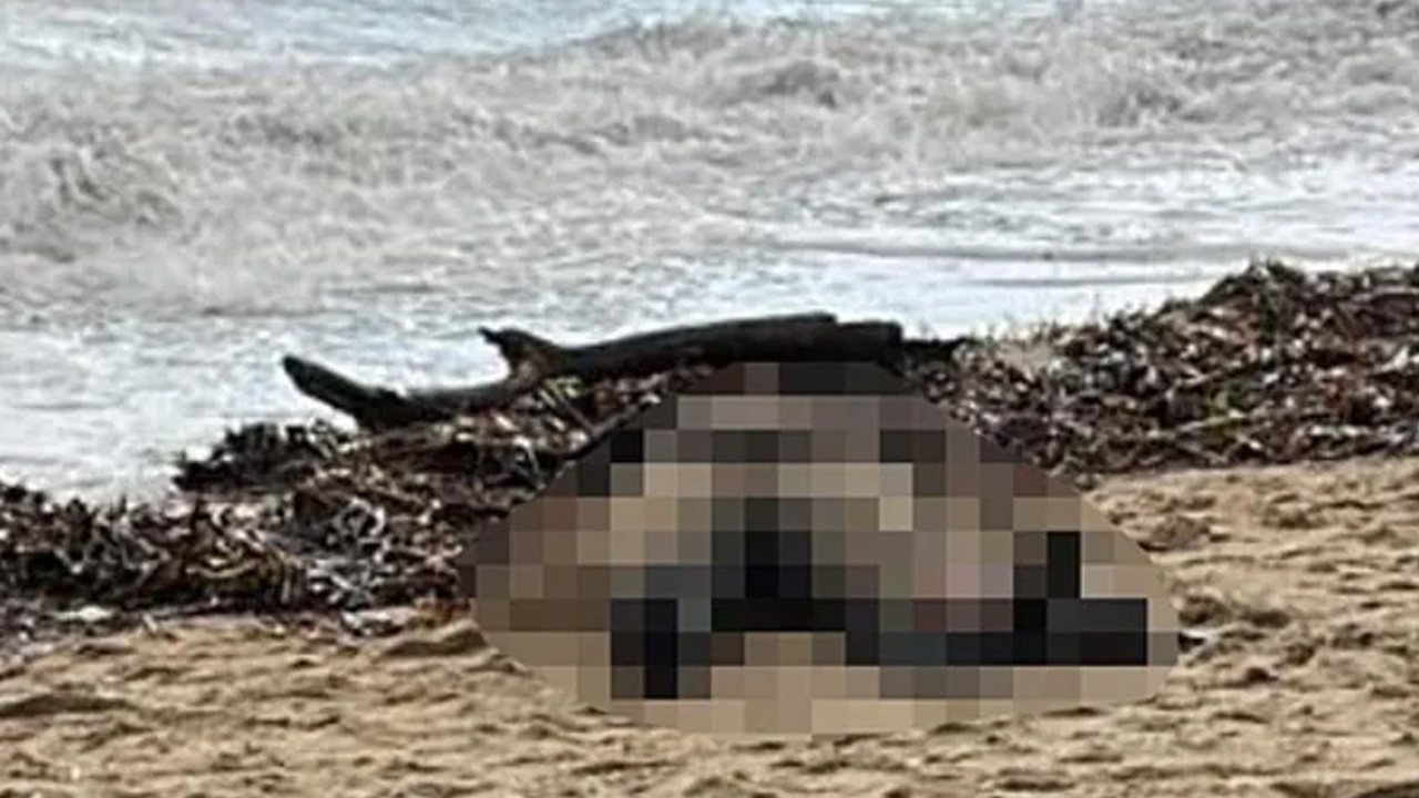 Balıkesir'de sahilde kadın cesedi bulundu