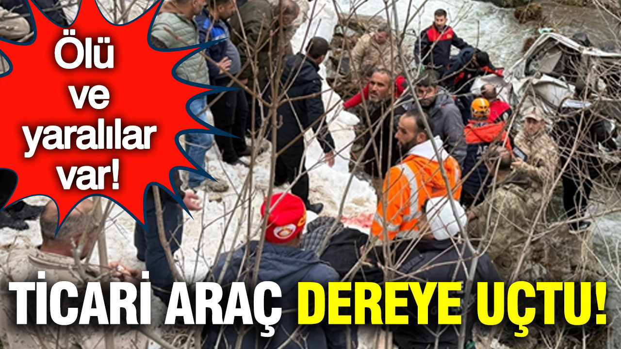 Bitlis'te ticari araç dereye uçtu: Ölü ve yaralılar var