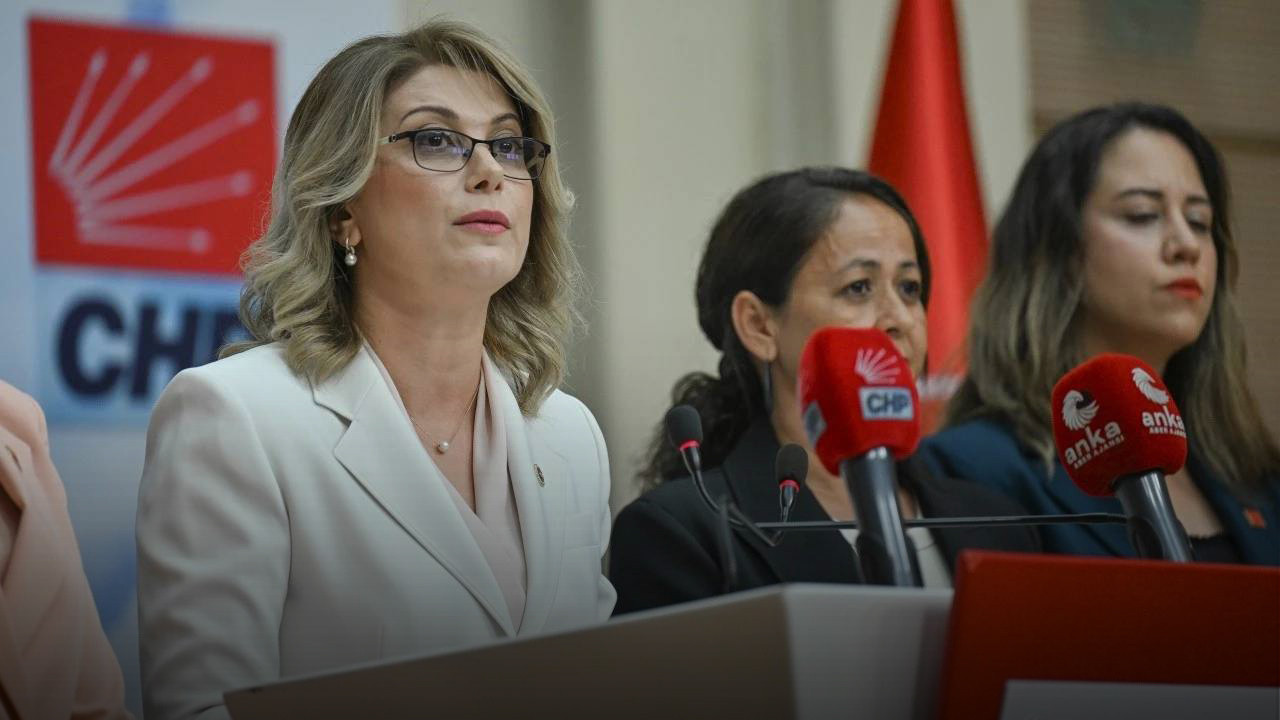 CHP'li Asu Kaya: 'Cumhuriyetin kadın devrimleri aşındırılıyor'