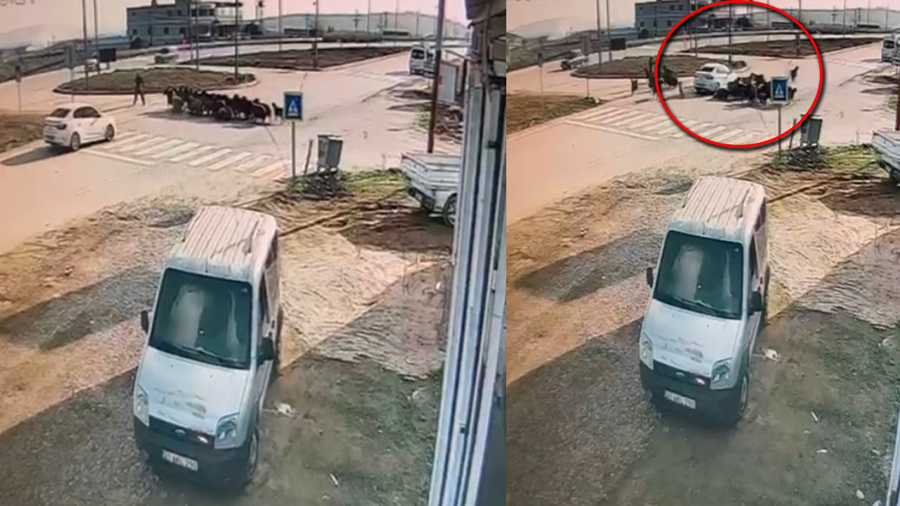 Hatay'da otomobil keçi sürüsünün ortasına daldı: Sahibi saniyeler ile kurtuldu