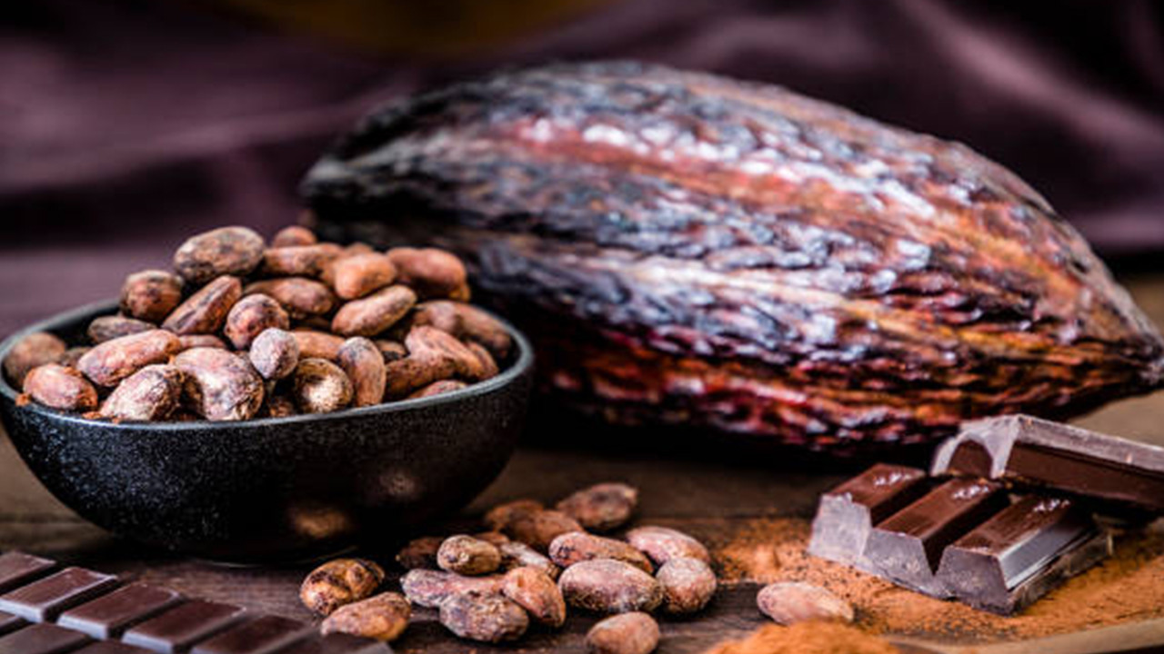 Türkiye yetiştirmediği üründen milyonlarca dolar kazandı