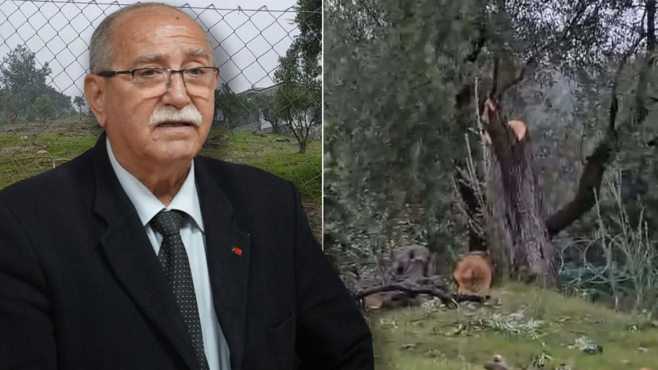 'Sattım' dediği araziyi damadı Cenk Soydan'a kağıt üstünde devrettiği öğrenildi: Damat görevden alındı