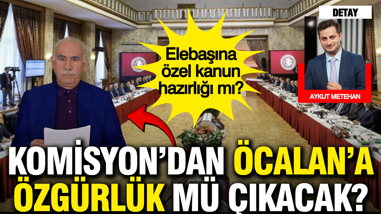 Süreç komisyonu "APO'ya özgürlük" mü diyecek? Nihai raporda neler var?