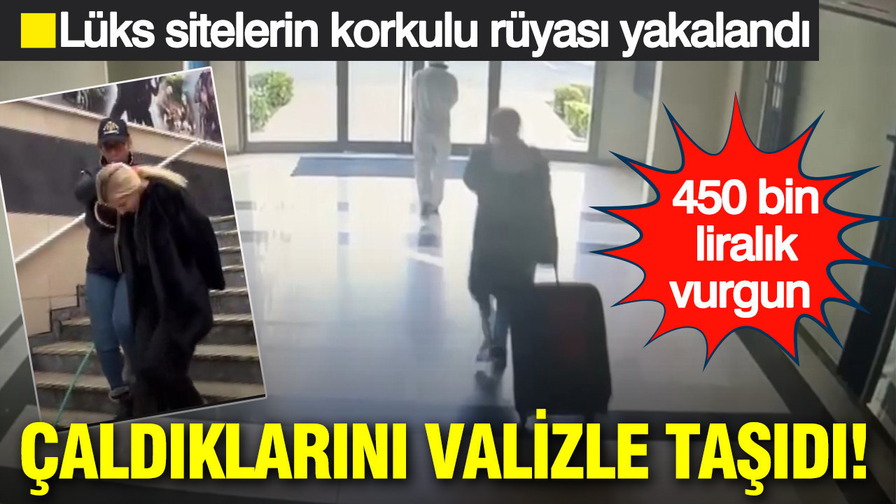 Çaldıklarını valizle taşıdı: Lüks sitelerin korkulu rüyası yakalandı: 450 bin liralık vurgun