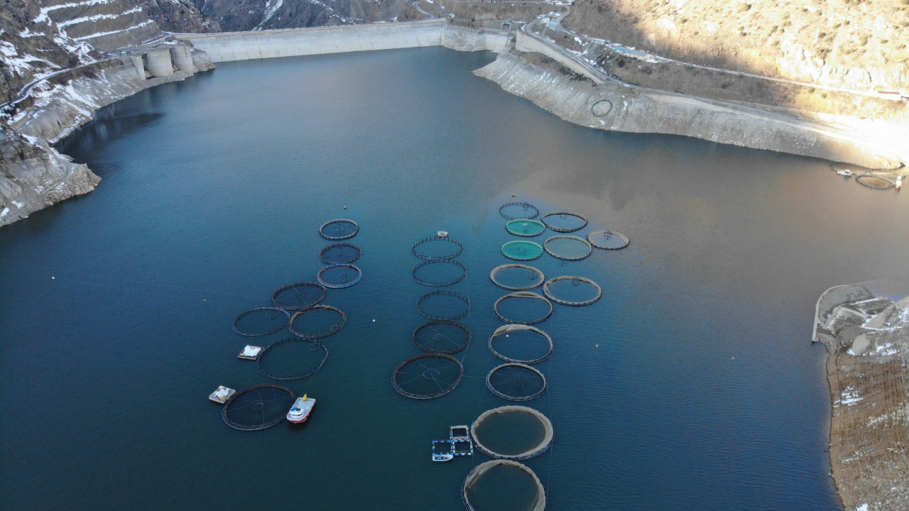 Gümüşhane’de balık üreticileri kapasiteyi büyütüyor