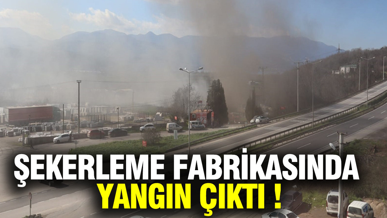 Sakarya'da şeker üretim fabrikasında yangın