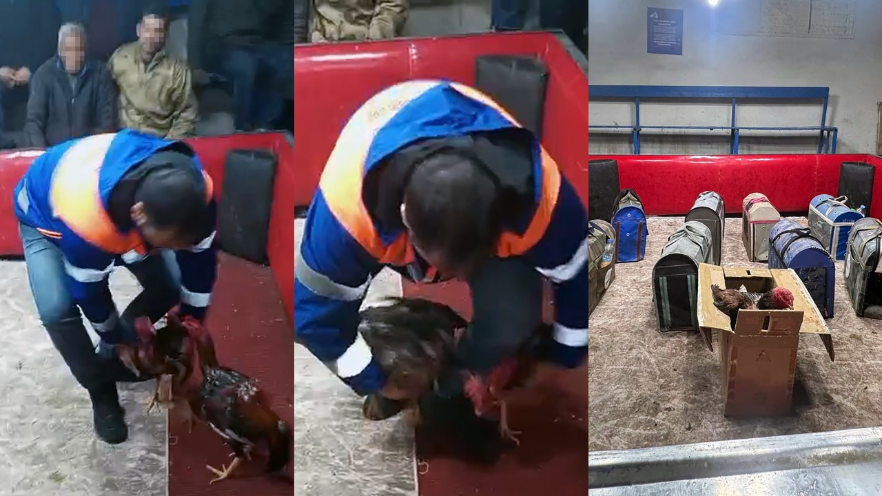 Temizlik işçisi kılığında baskın: Suçüstü yakalandı, savunması pes dedirtti