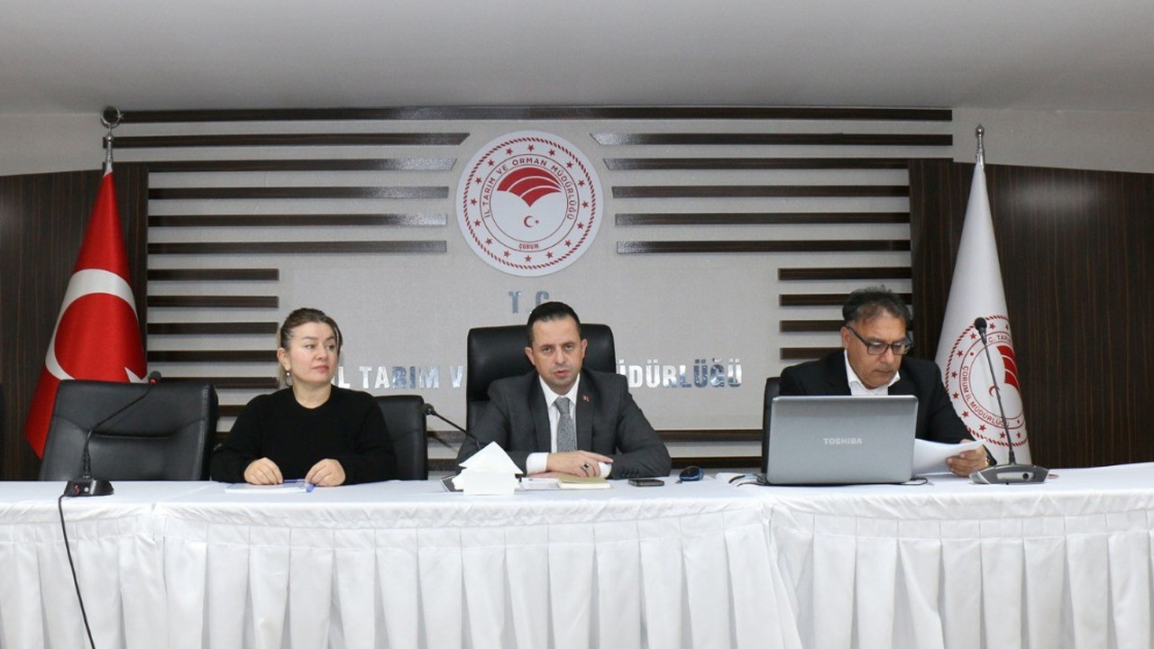 Toptancı hallerine yakın takip: Hasat sonrası pestisit denetimleri masaya yatırıldı