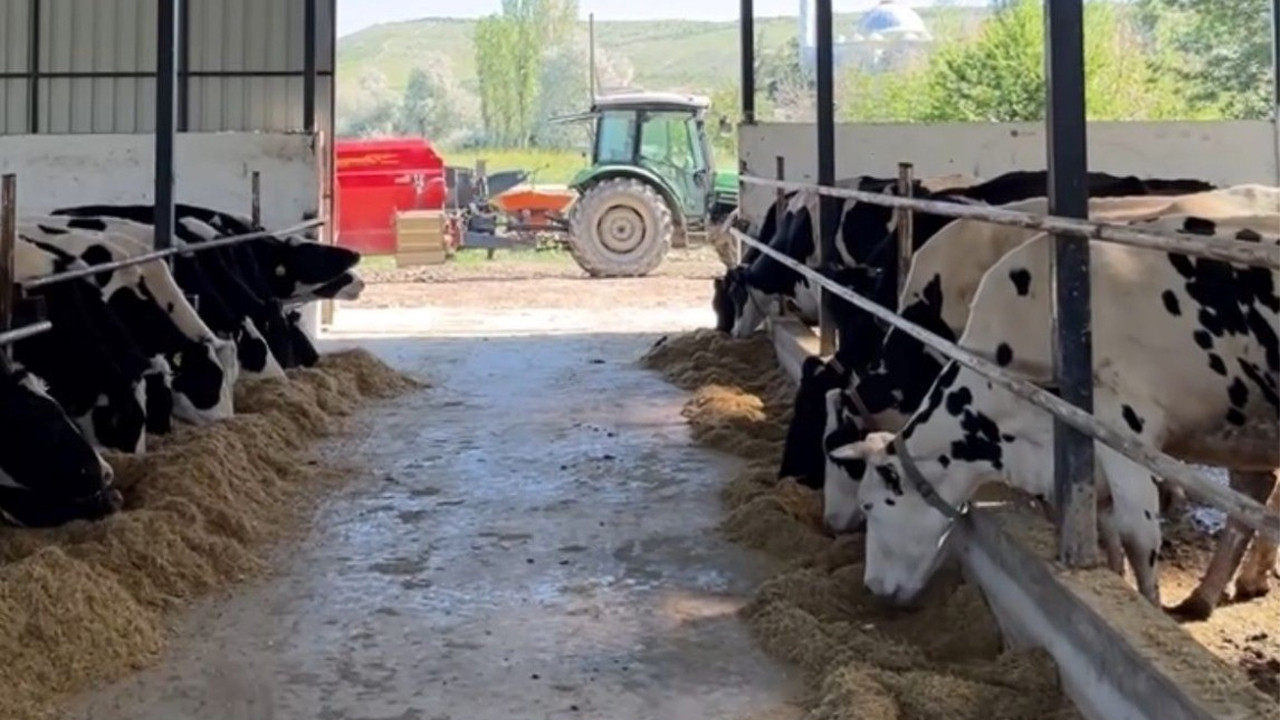 Hacibayram köyünde üreticiye arilik sertifikası: Sağlıklı üretim resmen tescillendi