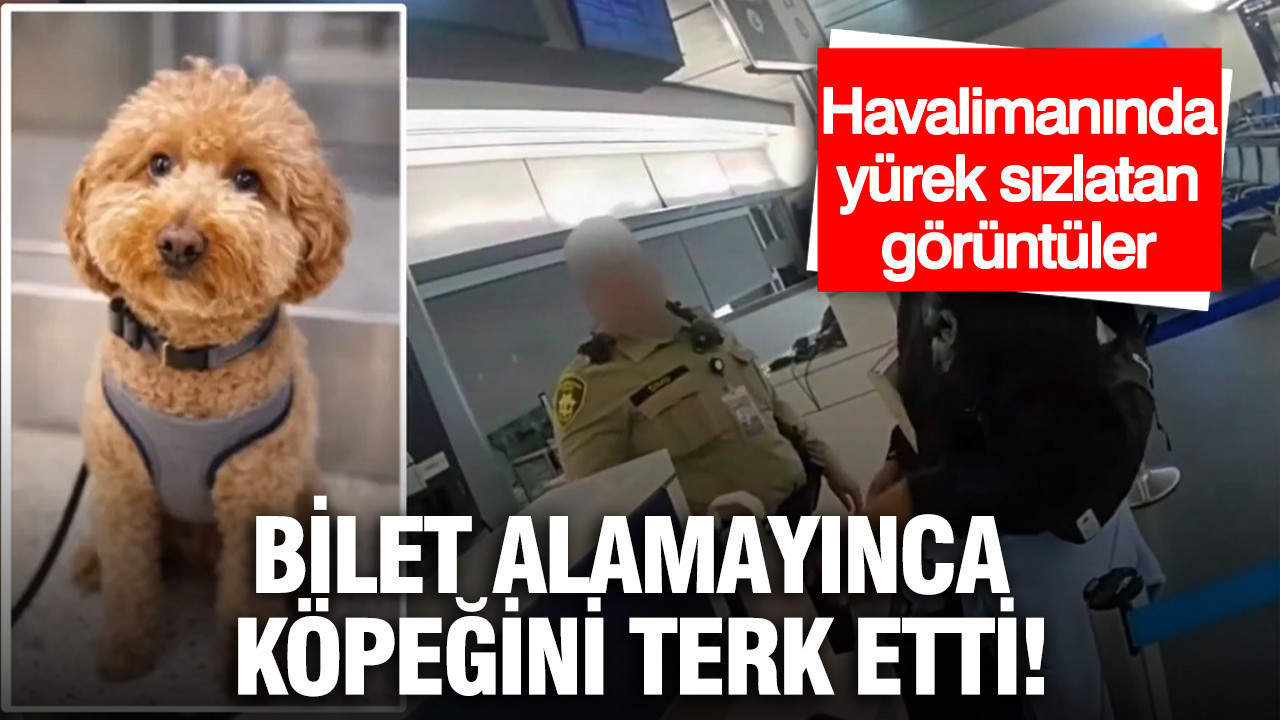 Havalimanında yürek sızlatan görüntüler: Bilet alamayınca köpeğini terk etti