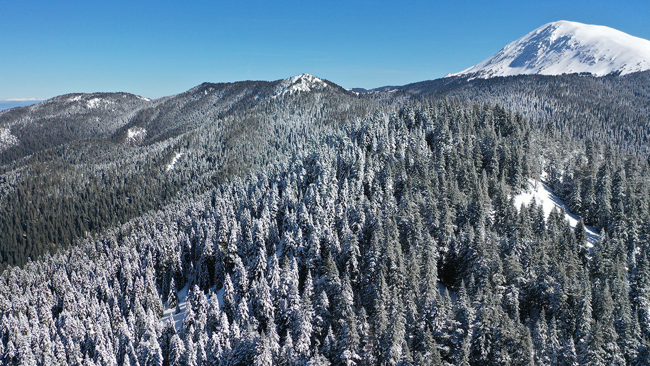 Ilgaz Dağı’nda kartpostallık kar manzarası