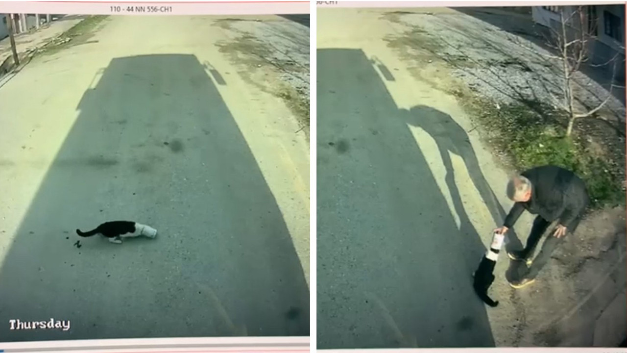 Yürekleri ısıtan görüntü: Başı konserve kutusuna sıkışan kediyi kurtardı