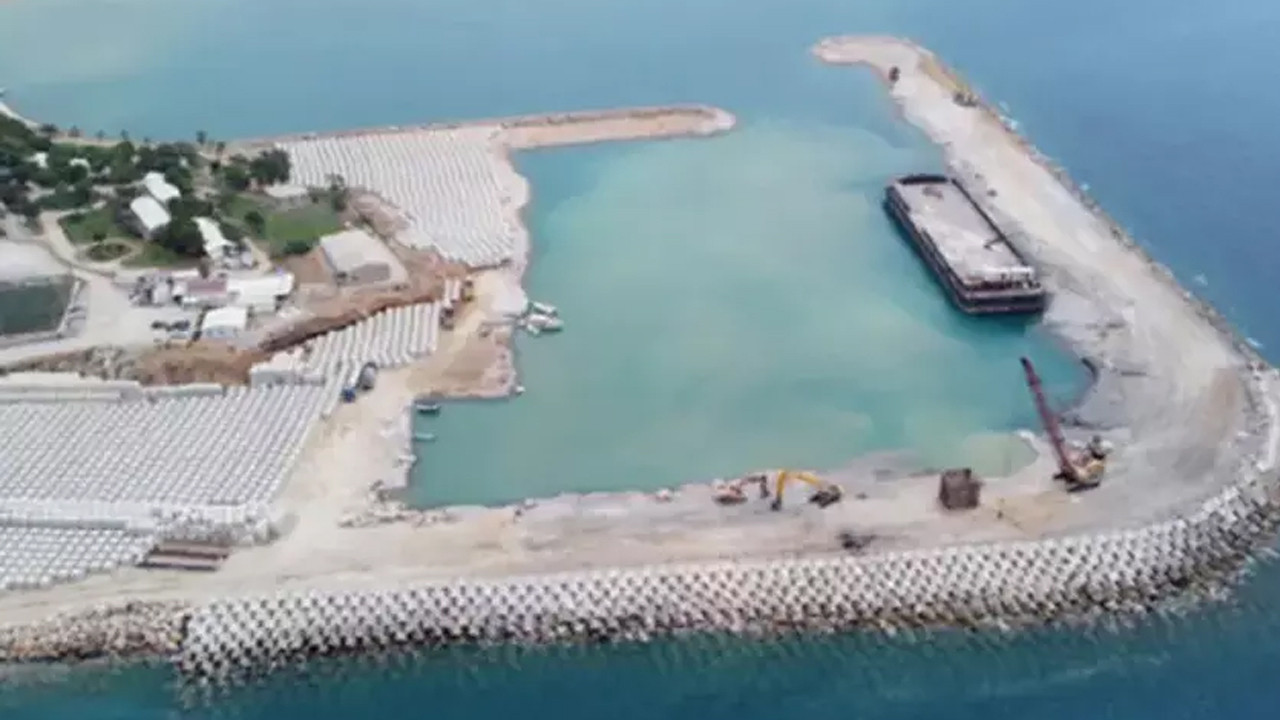 Koruma altındaki hayvanların olduğu bölgede rant projesi: 5 Mayıs'ta ihale yapılacak