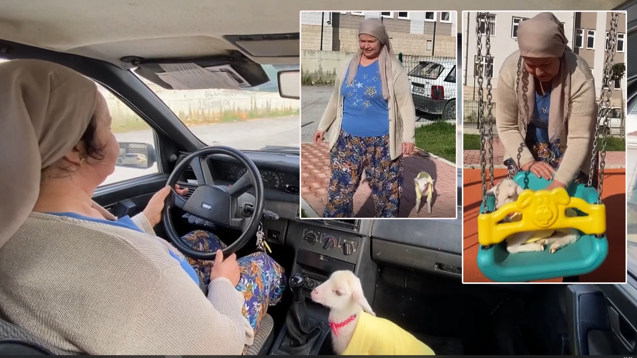 Annesi reddetti: Meliha teyze evlat edindi: ‘Naciye’ peşinden bir an bile ayrılmıyor