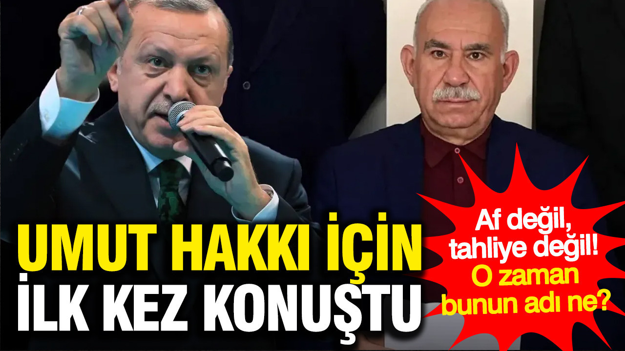 Erdoğan Öcalan'a umut hakkı için ilk kez net konuştu! Bunu vatandaşa anlatın