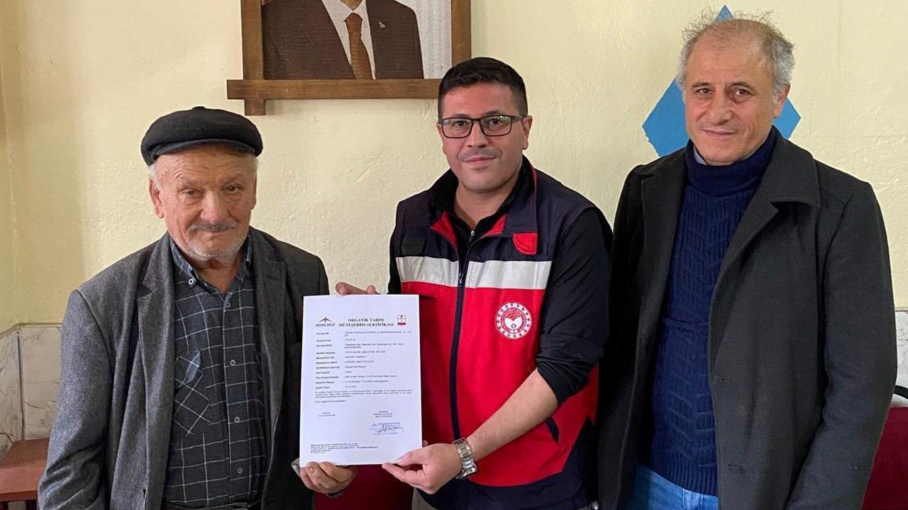 Göncek kavunu organik tarım kapsamına alındı