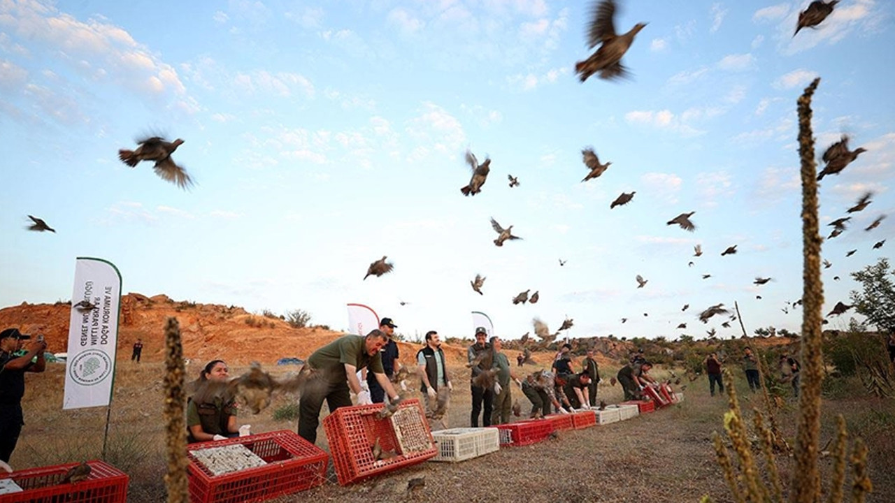 Sınırda ele geçirildi, özgürlüğe kanat çırptı