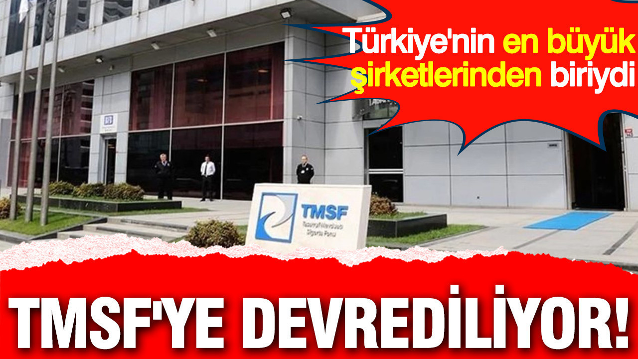 Türkiye'nin en büyük şirketlerinden biriydi: TMSF'ye devrediliyor