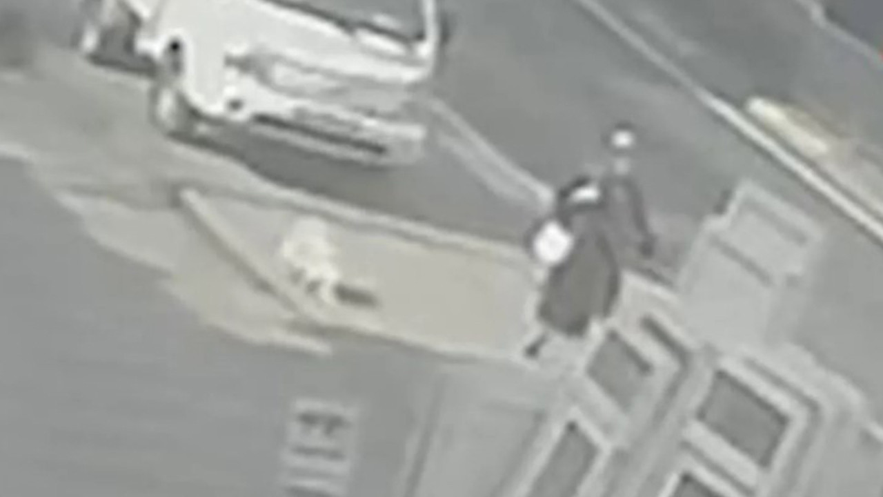 Büyükşehir Belediyesi'nden 'sahipsiz hayvan' açıklaması