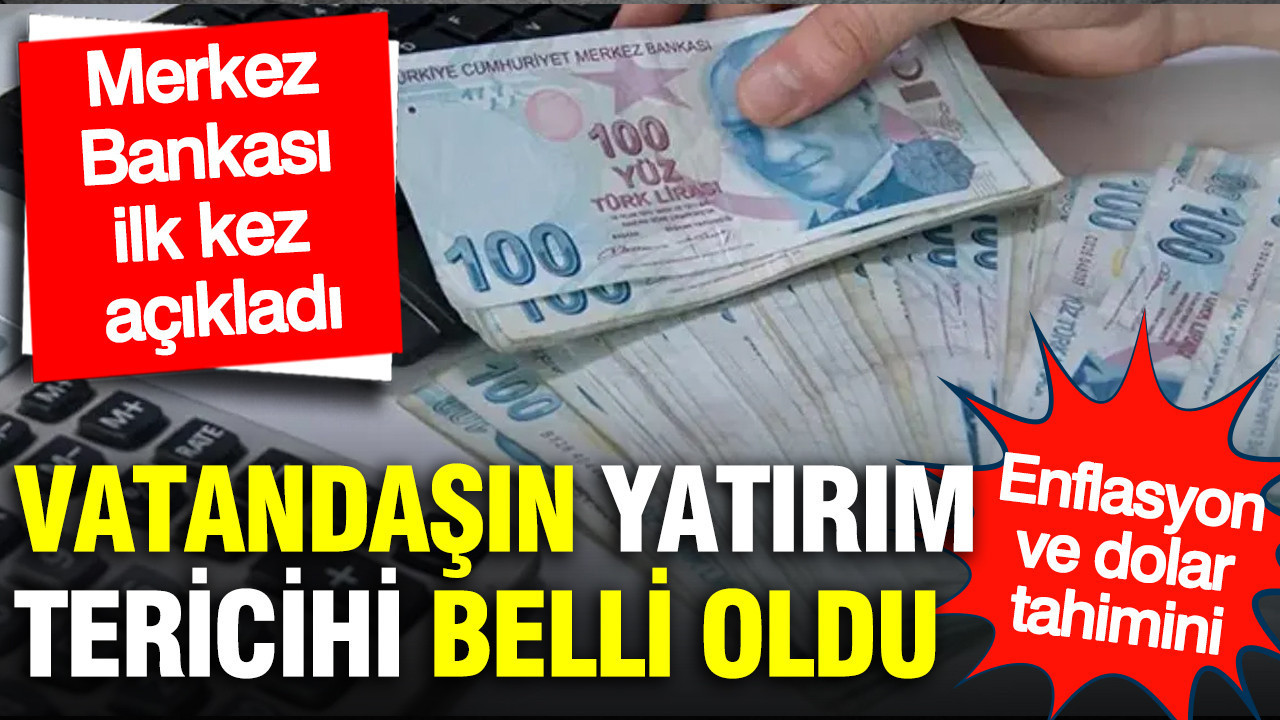 Merkez Bankası ilk kez açıkladı: Vatandaşın yatırım tercihi ne oldu? Enflasyon ve dolar tahmini