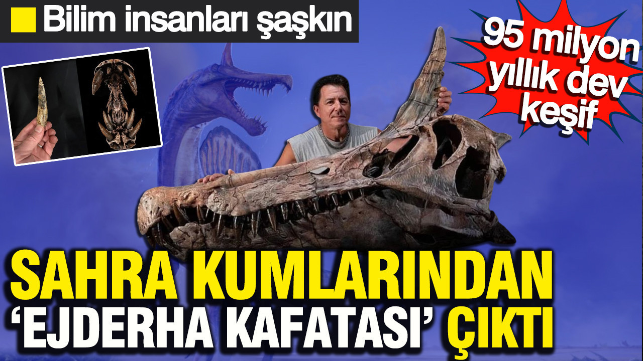Sahra kumlarından ‘Ejderha Kafatası’ çıktı: 95 milyon yıllık dev keşif… Bilim insanları şaşkın