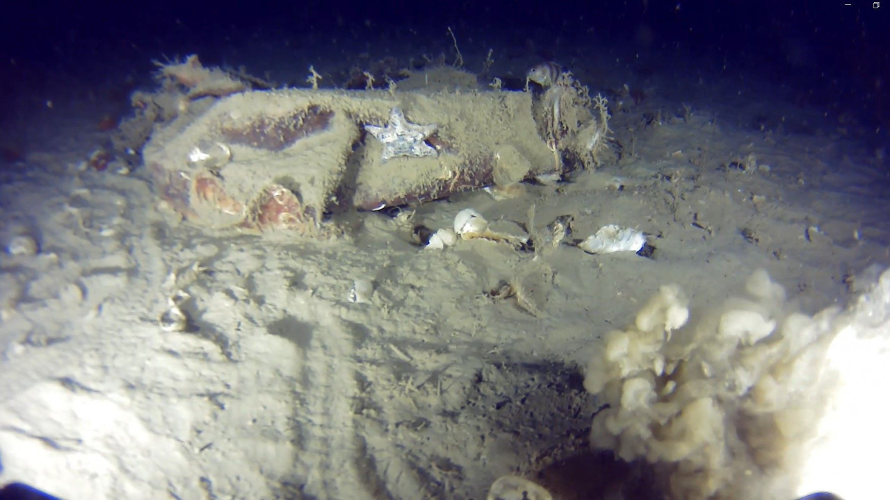 THY uçağının enkazına 51 yıl sonra ulaşıldı... O görüntüler paylaşıldı