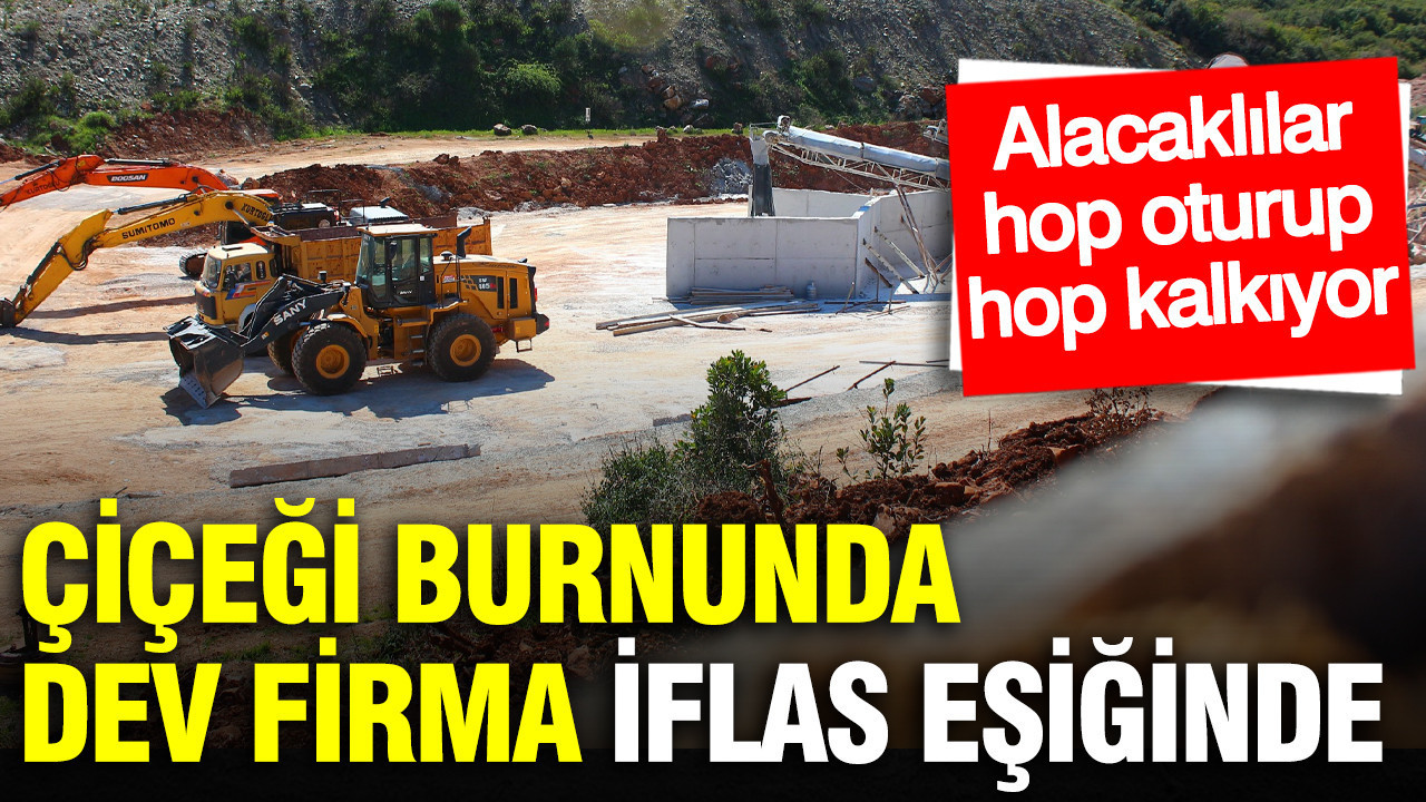 Çiçeği burnunda Türk taşımacılık firması konkordato ilan etti: Alacaklılar için karar günü netleşti