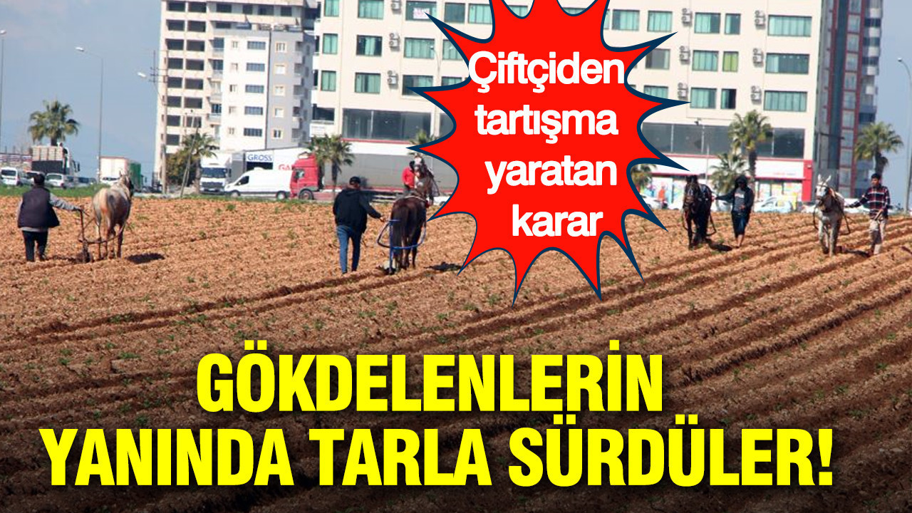 Gökdelenlerin yanında tarla sürdüler: Çiftçiden tartışma yaratan karar